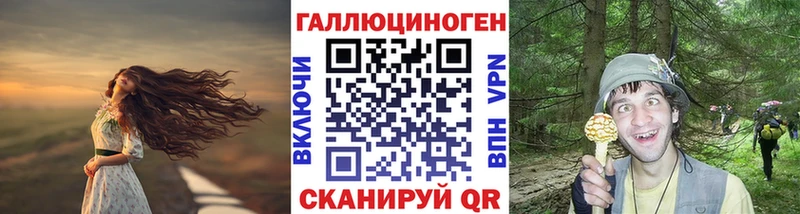 купить наркотики цена  Щучье  Псилоцибиновые грибы Cubensis 